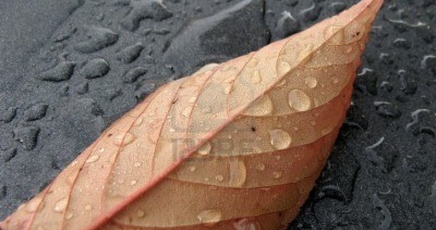 Baku weather forecast for Oct.22