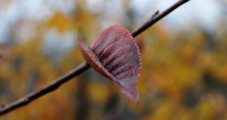 Золотая осень – ФОТОРЕПОРТАЖ
