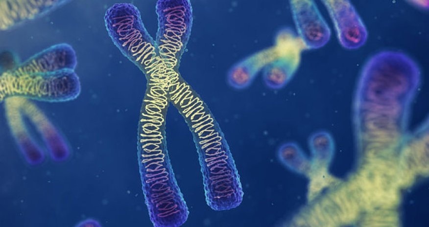 Blood test 'allows couples to screen out abnormalities'