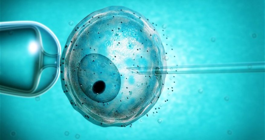 Eugenics need not be a dirty word - instead, it could be lifesaving technology