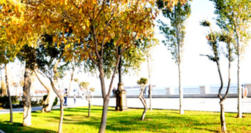 Baku weather forecast for Nov. 5