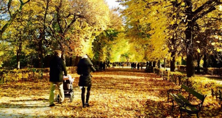 Avropa şəhərləri: Qızıl Vyana - FOTOREPORTAJ