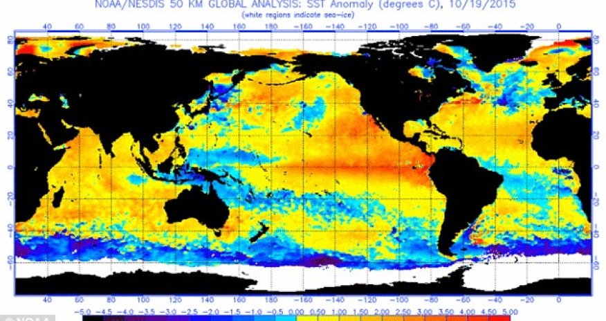 El Nino will be the worst in over 15 years
