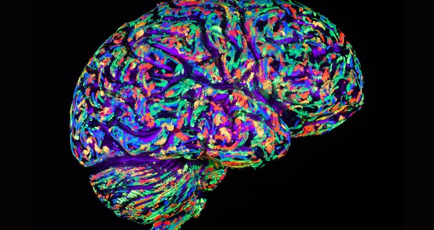 The brain's miracle superpowers of self-improvement