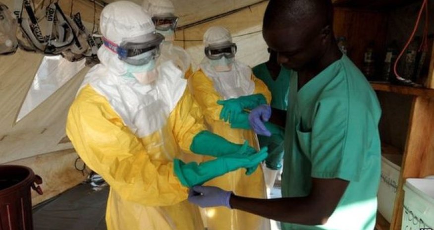 Ebola global response was 'too slow', say health experts