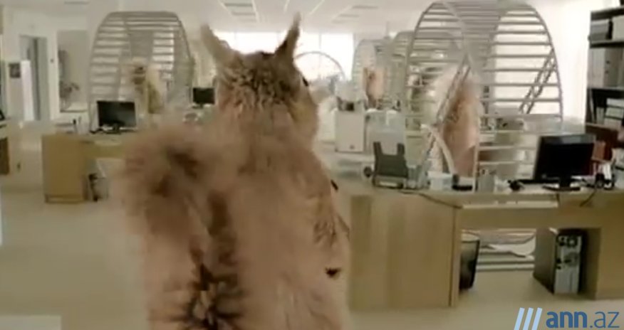 В ОБЪЕКТИВЕ: Почему наши рекламы не актуальны?