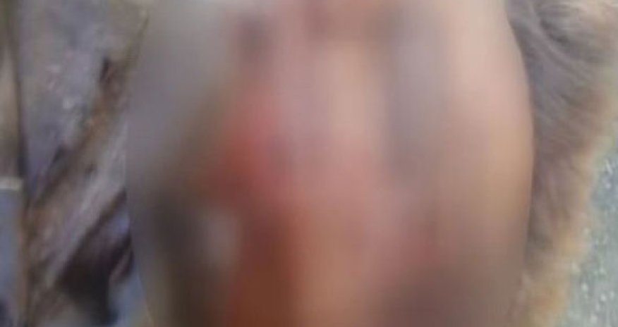 Кадры тела погибшего российского пилота