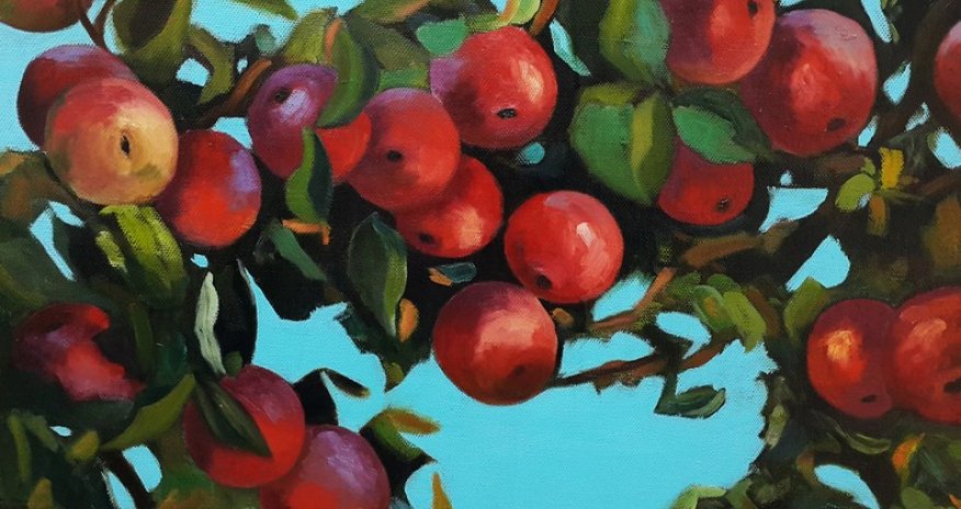 İçərişəhərdə alma fırtınası - REPORTAJ