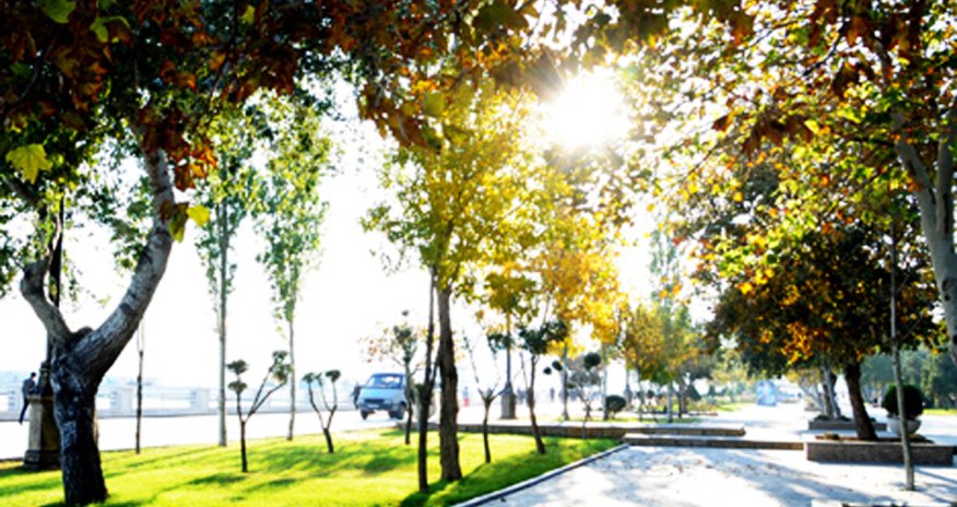 Baku weather forecast for Dec. 2