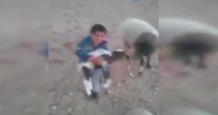 РАЗНОЕ: Малыша оторвали от матери