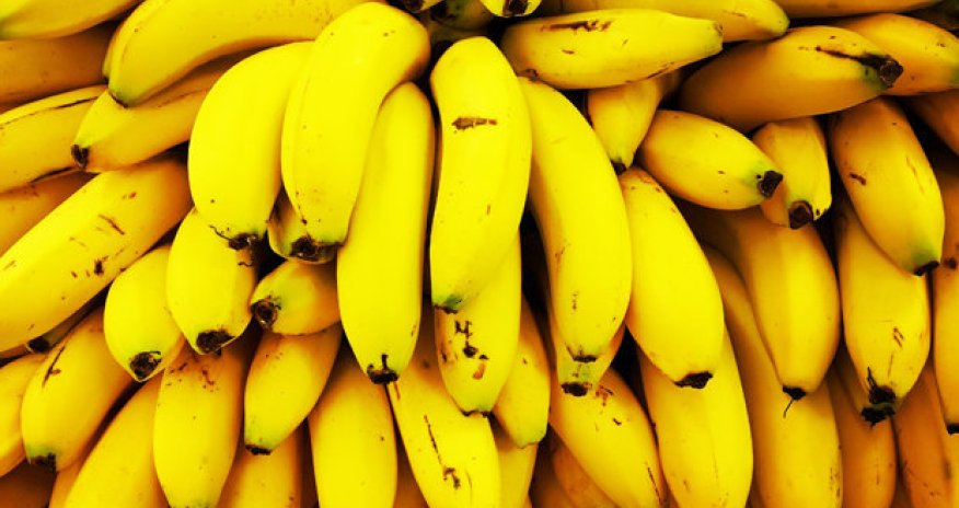 Bananas may be about to become EXTINCT