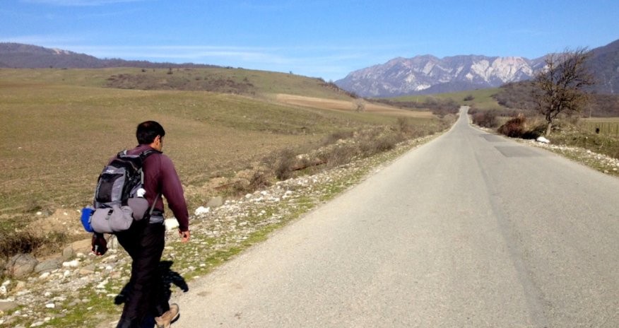 Cats, dogs and Azerbaijan