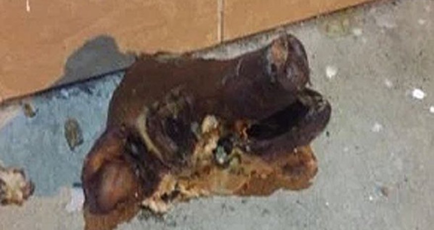 Свиную голову бросили к мечети 