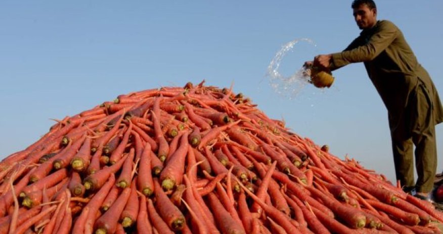 World Trade Organization strikes 'historic' farming subsidy deal