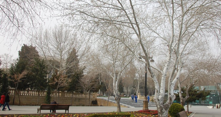 Baku weather forecast for Dec. 22