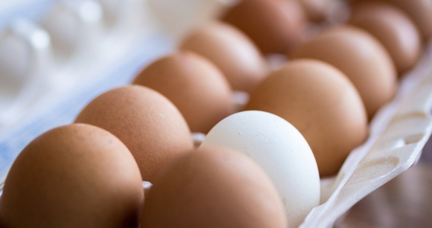 ​Azərbaycanda yumurtanın qiyməti bahalaşdı