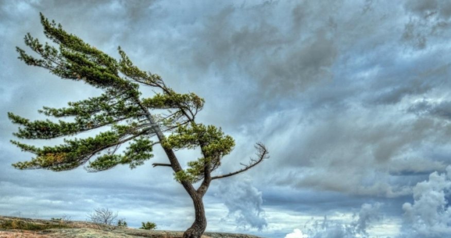 Baku weather forecast for Jan. 7