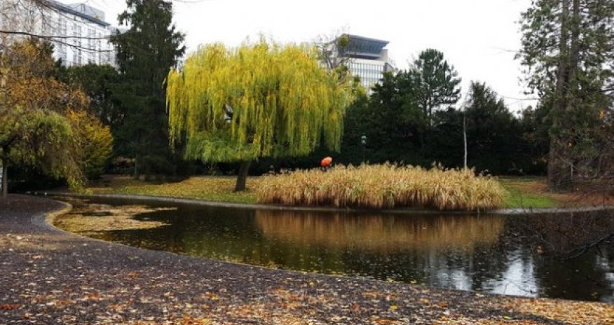 Ştadpark: Avstriya paytaxtının mərkəzində kültür bucağı – REPORTAJ 