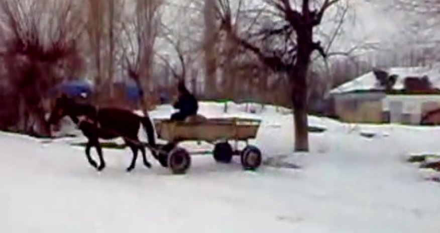 Разное: Гонщик на повозке