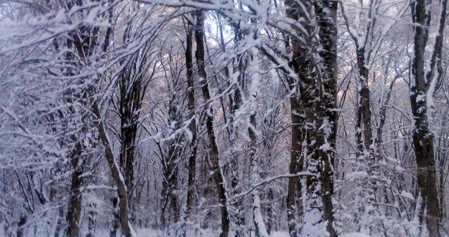 Baku weather forecast for Jan. 14