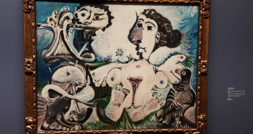 Albertina muzeyində Pablo Pikasso qalereyası – REPORTAJ