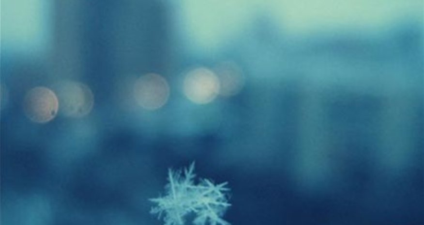 Какая погода ожидает нас сегодня?