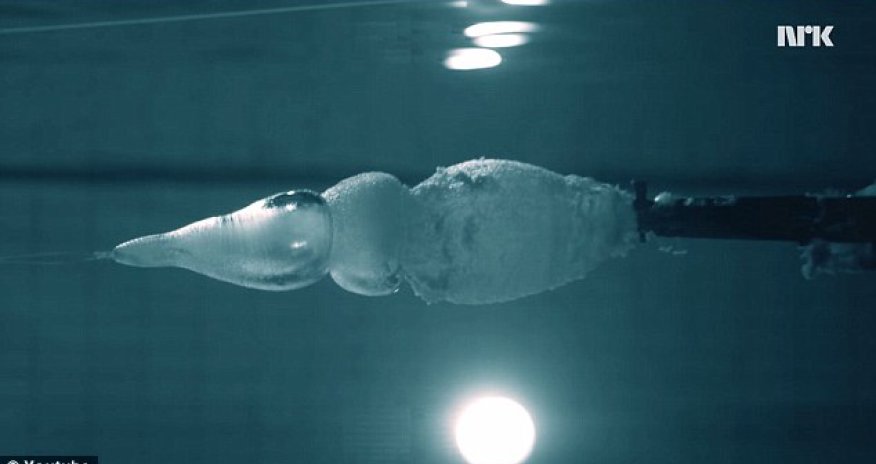 Why you can’t shoot a gun underwater