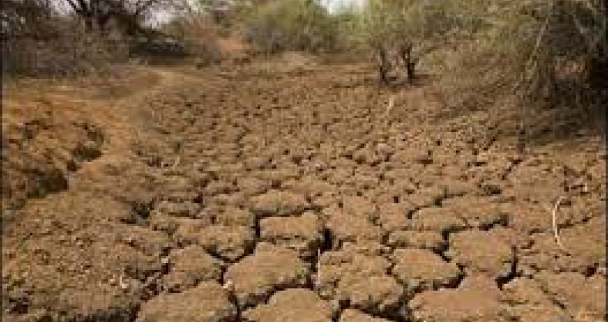 В Эфиопии сильнейшая засуха