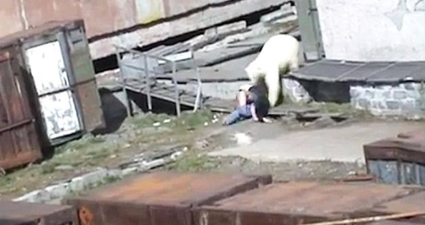 Terrifying moment stunned woman is mauled by polar bear