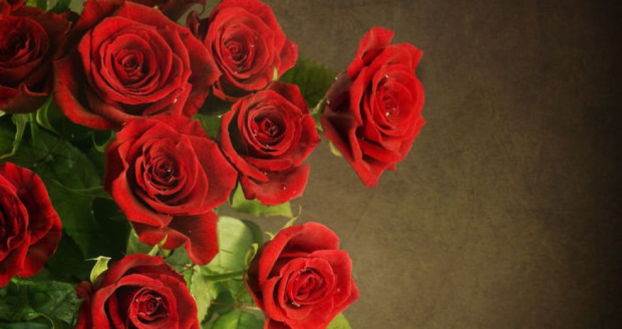 Bu gün Beynəlxalq Qadınlar günüdür