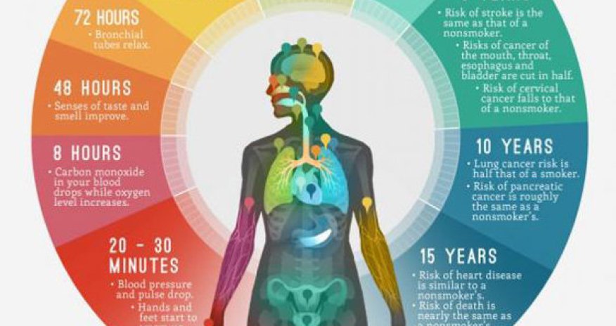 This is what happens to your body after you quit smoking