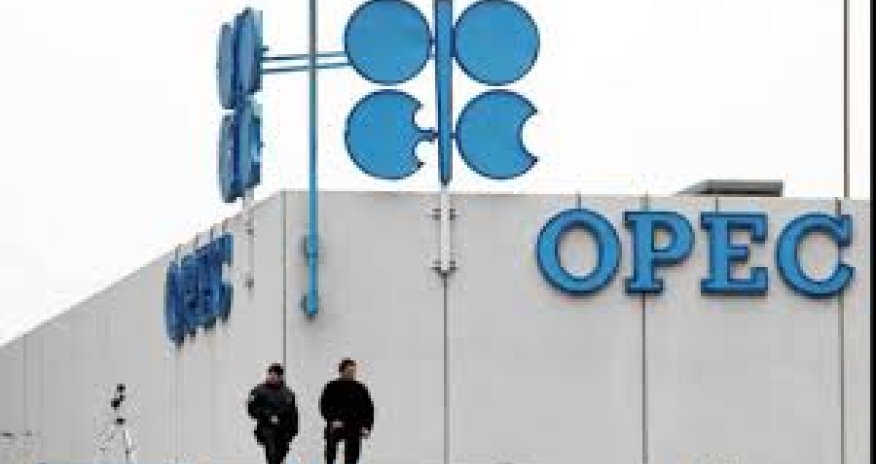 OPEC sees lower 2016 demand for its oil, pointing to higher surplus