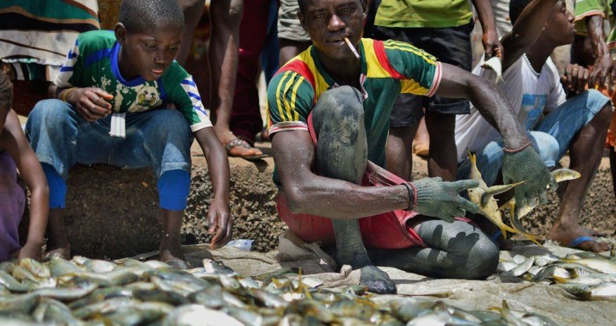 In pictures: Fishing in Sierra Leone