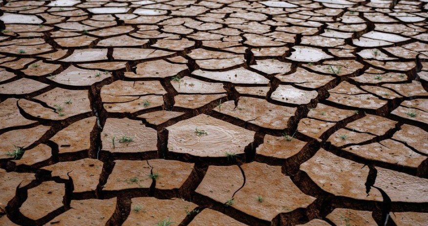 The global water crisis in pictures