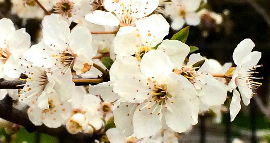 Baku weather forecast for April 8