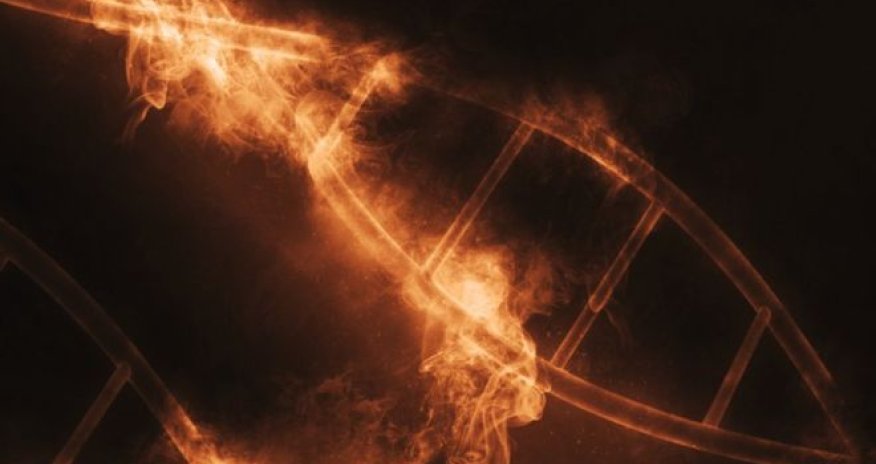 'Superhero DNA' keeps diseases at bay