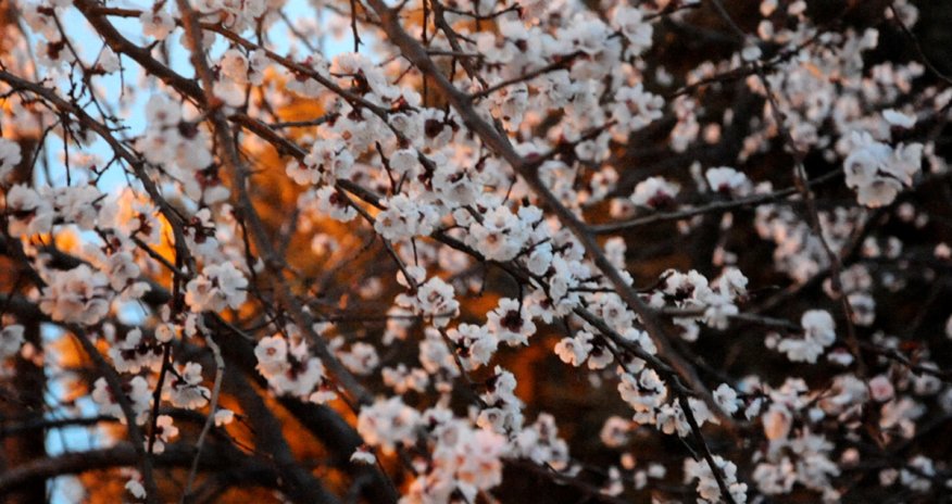 Baku weather forecast for April 22