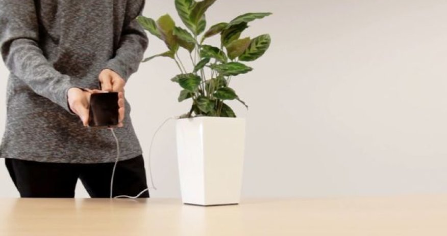 Зарядка смартфонов от горшка