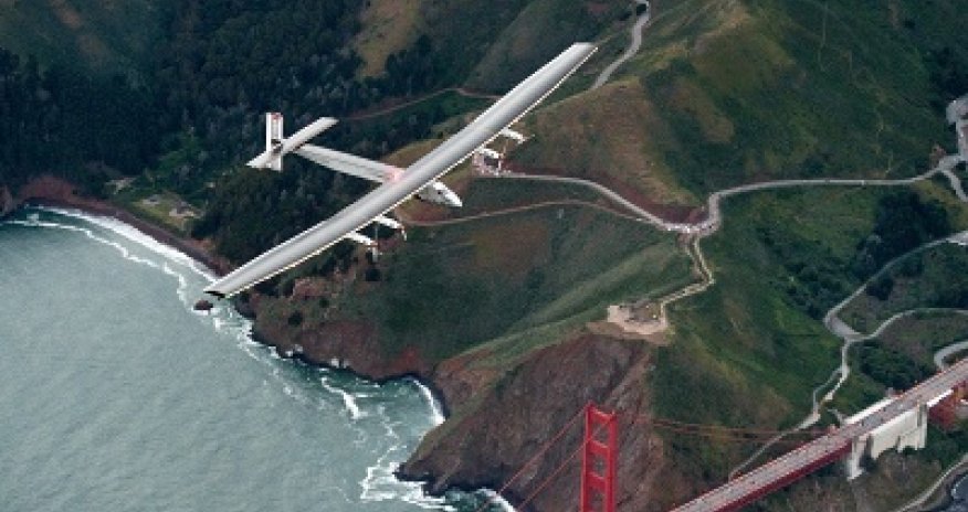 Найдена необычная медуза