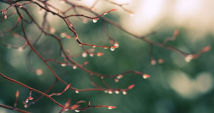 Baku weather forecast for May 11