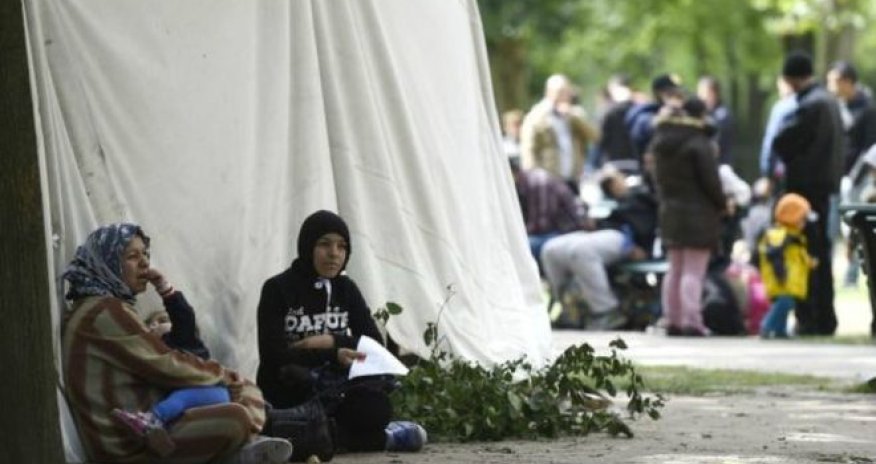 Мигранты стали бизнесменами - ВИДЕО