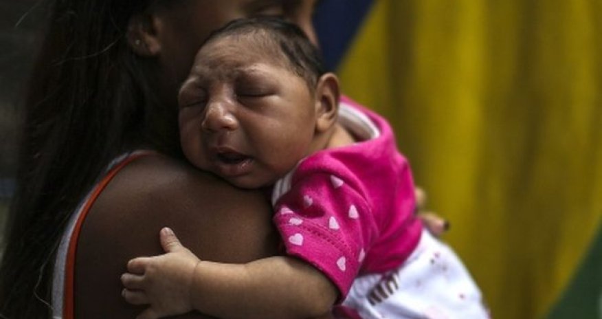 Zika virus may reach Europe this summer
