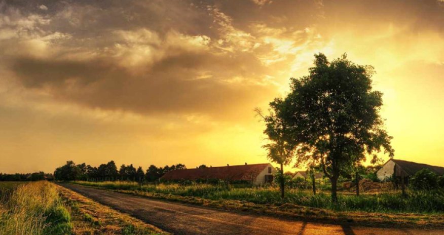 E-kitab - Cavid Zeynallı: 