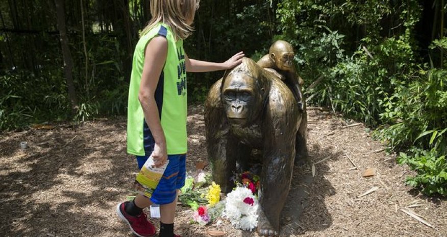 Cincinnati Zoo gorilla death: no child endangerment charges for mother