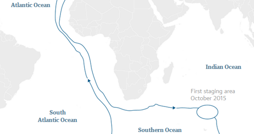 Arctic tern makes longest ever migration – equal to flying twice around the planet