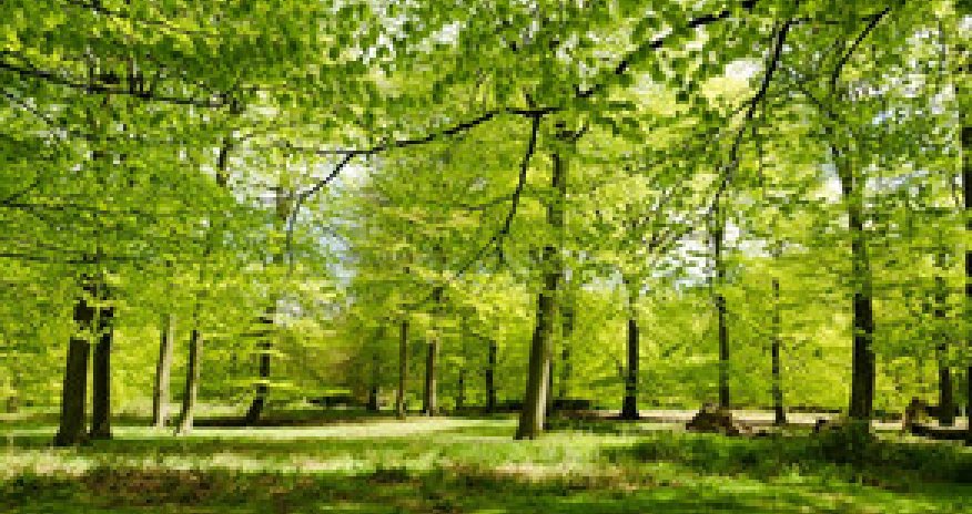 Baku weather forecast for June 22