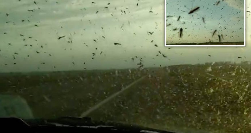 Is zika virus spreading? 