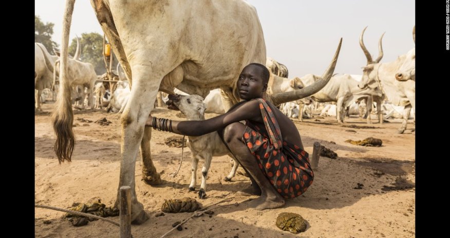 The Mundari: The tribe dying for their cows