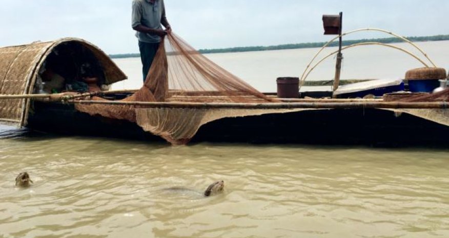 Мэр упал в канаву - ВИДЕО