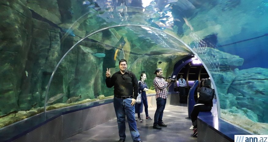 Аква Флория: крупнейший тематический аквариум Стамбула – РЕПОРТАЖ+ФОТО
